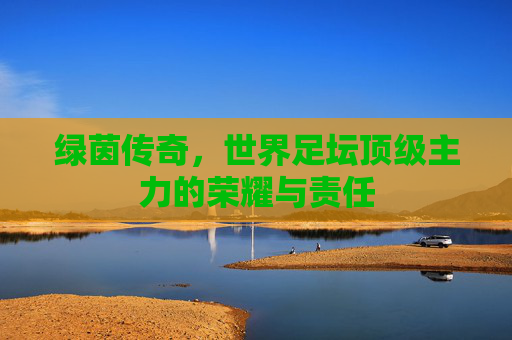 绿茵传奇，世界足坛顶级主力的荣耀与责任