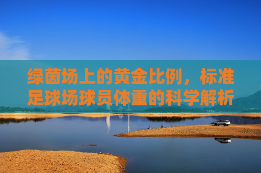 绿茵场上的黄金比例,标准足球场球员体重的科学解析