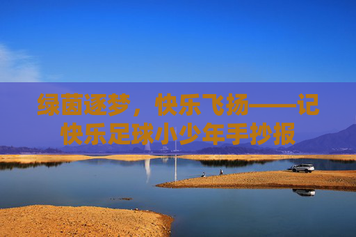 绿茵逐梦，快乐飞扬——记快乐足球小少年手抄报