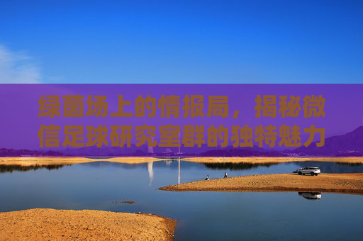 绿茵场上的情报局，揭秘微信足球研究室群的独特魅力与价值