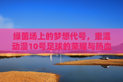 绿茵场上的梦想代号，重温动漫10号足球的荣耀与热血