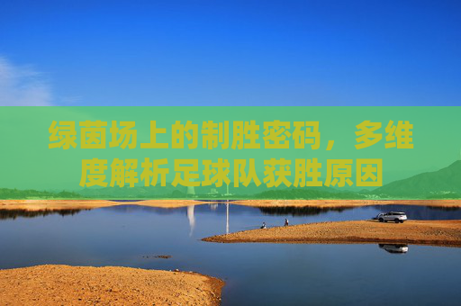 绿茵场上的制胜密码,多维度解析足球队获胜原因