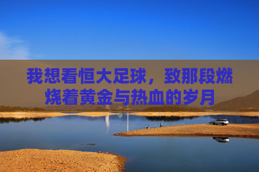 我想看恒大足球,致那段燃烧着黄金与热血的岁月