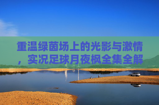 重温绿茵场上的光影与激情,实况足球月夜枫全集全解析
