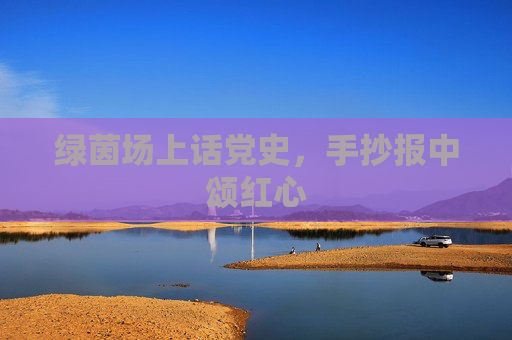 绿茵场上话党史，手抄报中颂红心