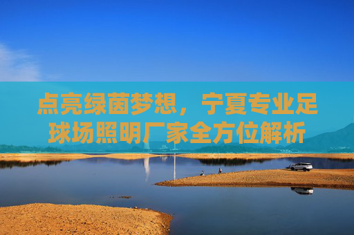 点亮绿茵梦想,宁夏专业足球场照明厂家全方位解析