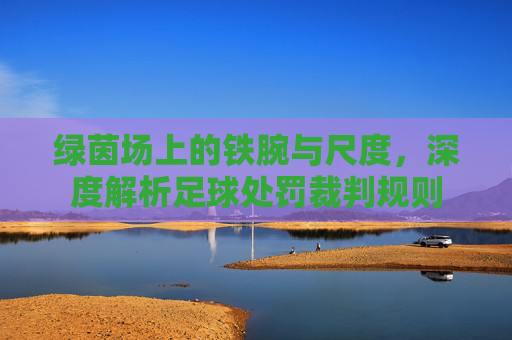 绿茵场上的铁腕与尺度,深度解析足球处罚裁判规则