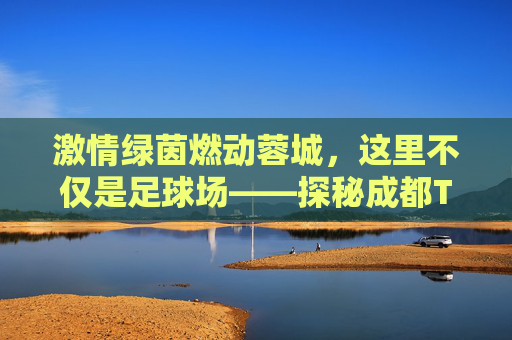 激情绿茵燃动蓉城，这里不仅是足球场——探秘成都T98足球公园