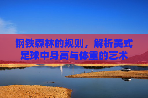 钢铁森林的规则,解析美式足球中身高与体重的艺术