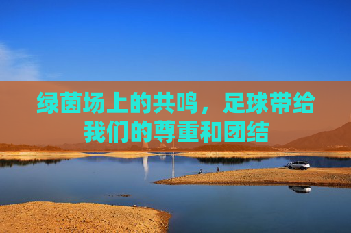 绿茵场上的共鸣，足球带给我们的尊重和团结