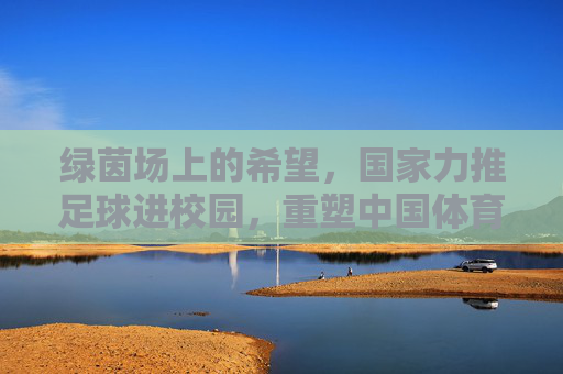 绿茵场上的希望,国家力推足球进校园,重塑中国体育未来