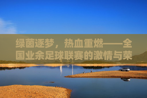 绿茵逐梦,热血重燃——全国业余足球联赛的激情与荣耀