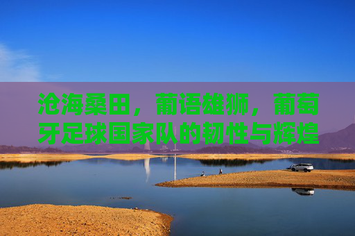 沧海桑田，葡语雄狮，葡萄牙足球国家队的韧性与辉煌