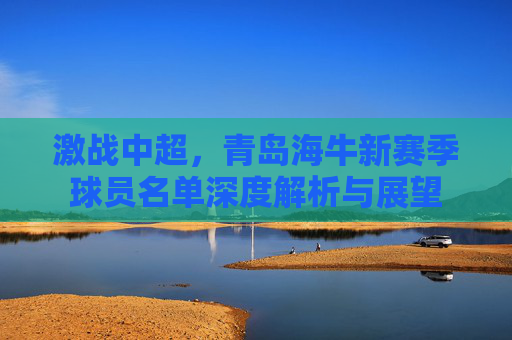激战中超,青岛海牛新赛季球员名单深度解析与展望