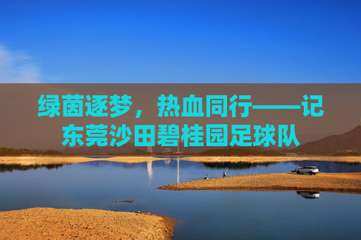 绿茵逐梦，热血同行——记东莞沙田碧桂园足球队