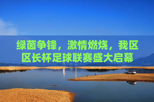 绿茵争锋,激情燃烧,我区区长杯足球联赛盛大启幕