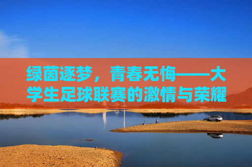 绿茵逐梦，青春无悔——大学生足球联赛的激情与荣耀