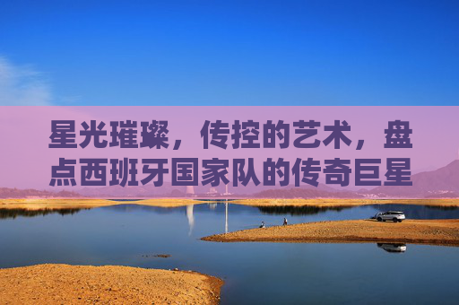 星光璀璨,传控的艺术,盘点西班牙国家队的传奇巨星