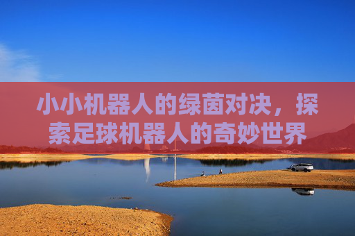 小小机器人的绿茵对决，探索足球机器人的奇妙世界