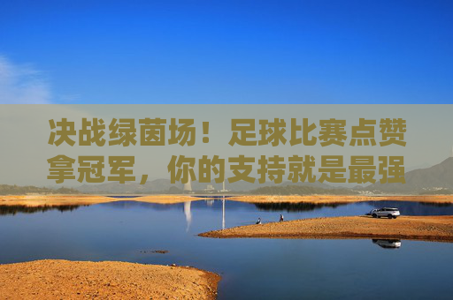 决战绿茵场！足球比赛点赞拿冠军，你的支持就是最强后盾！