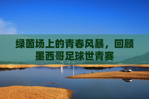 绿茵场上的青春风暴,回顾墨西哥足球世青赛
