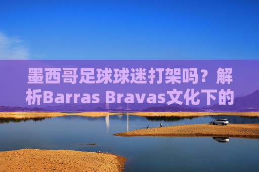 墨西哥足球球迷打架吗？解析Barras Bravas文化下的狂热与冲突