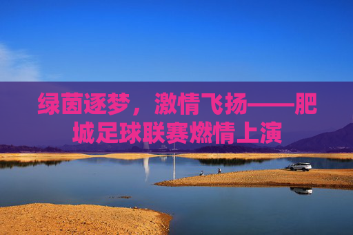 绿茵逐梦，激情飞扬——肥城足球联赛燃情上演