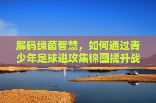 解码绿茵智慧，如何通过青少年足球进攻集锦图提升战术素养