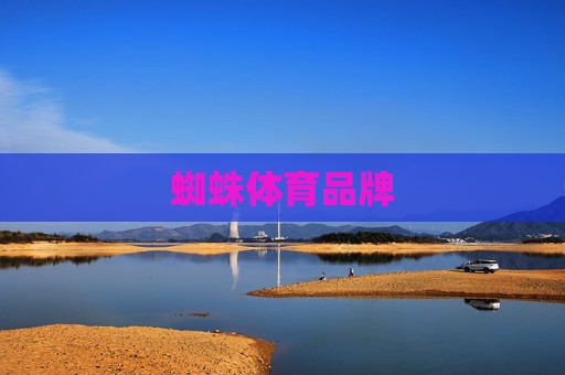 蜘蛛体育品牌