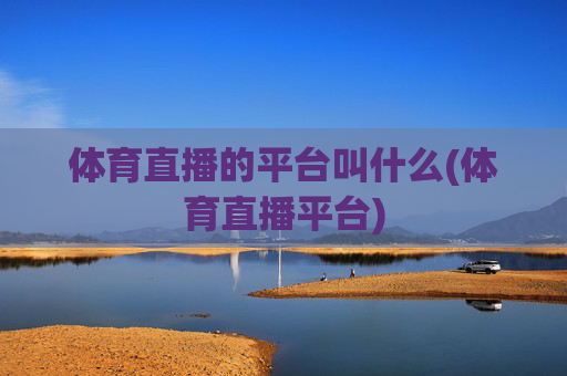 体育直播的平台叫什么(体育直播平台)