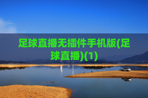 足球直播无插件手机版(足球直播)(1)