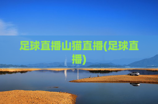 足球直播山猫直播(足球直播)