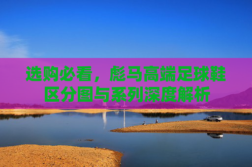 选购必看,彪马高端足球鞋区分图与系列深度解析