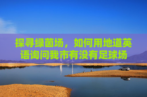 探寻绿茵场,如何用地道英语询问我市有没有足球场