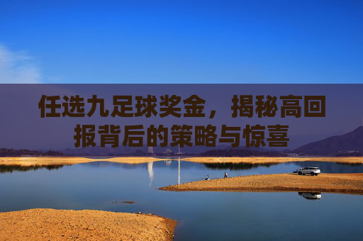 任选九足球奖金,揭秘高回报背后的策略与惊喜