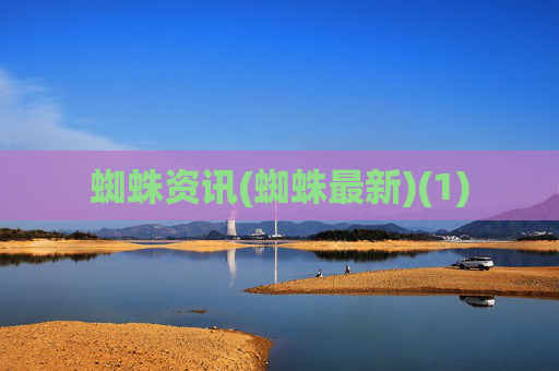蜘蛛资讯(蜘蛛最新)(1)