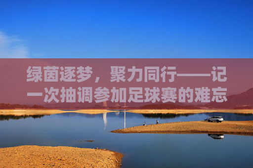 绿茵逐梦,聚力同行——记一次抽调参加足球赛的难忘经历