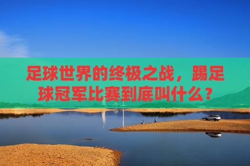 足球世界的终极之战，踢足球冠军比赛到底叫什么？