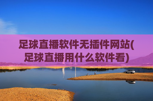 足球直播软件无插件网站(足球直播用什么软件看)