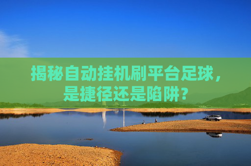 揭秘自动挂机刷平台足球,是捷径还是陷阱?