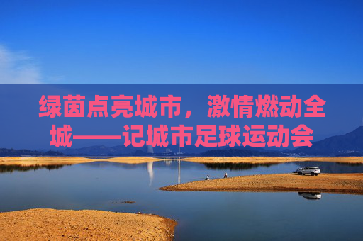 绿茵点亮城市,激情燃动全城——记城市足球运动会