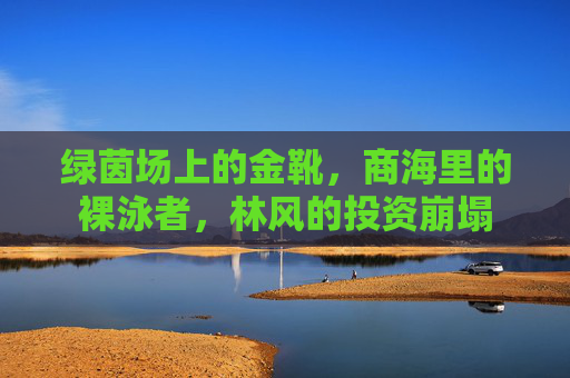 绿茵场上的金靴,商海里的裸泳者,林风的投资崩塌