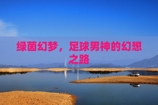 绿茵幻梦,足球男神的幻想之路