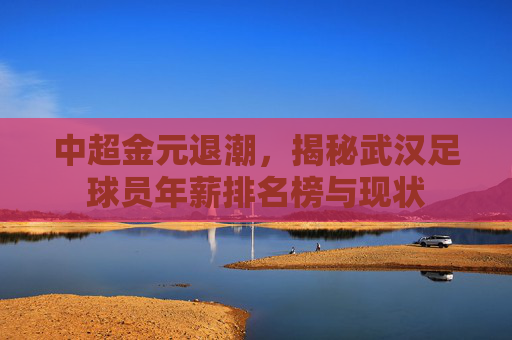 中超金元退潮,揭秘武汉足球员年薪排名榜与现状