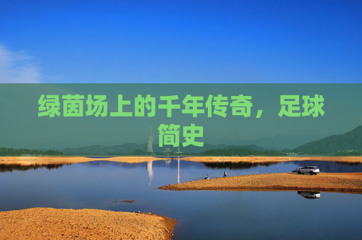 绿茵场上的千年传奇,足球简史