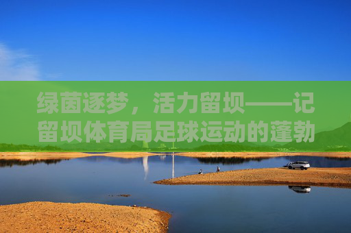 绿茵逐梦,活力留坝——记留坝体育局足球运动的蓬勃发展