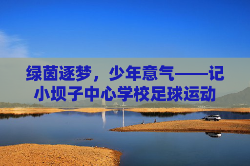 绿茵逐梦，少年意气——记小坝子中心学校足球运动