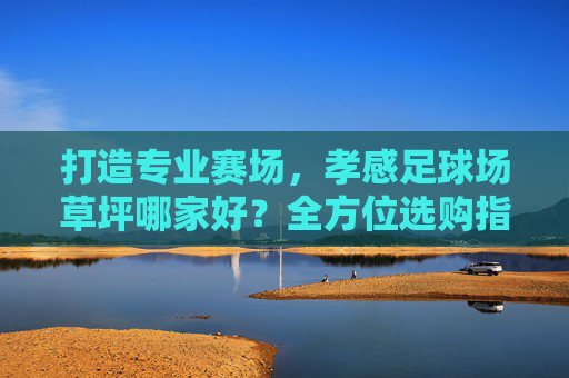 打造专业赛场,孝感足球场草坪哪家好?全方位选购指南