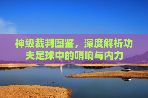 神级裁判图鉴,深度解析功夫足球中的哨响与内力