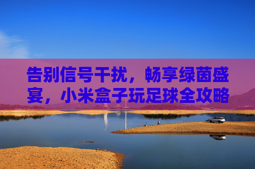 告别信号干扰,畅享绿茵盛宴,小米盒子玩足球全攻略